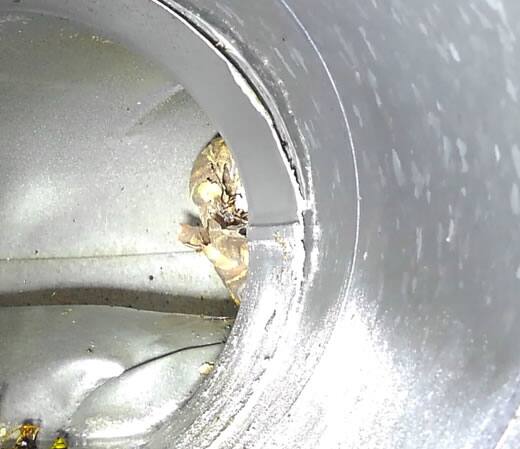 スズメバチの巣駆除換気口ダクト